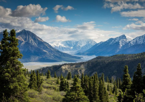 Mountains, valleys and forests