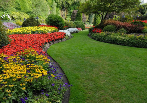 Landscape design