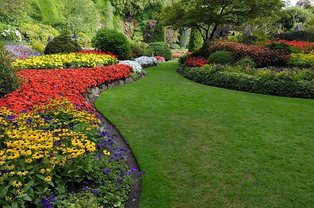 Custom Landscaping